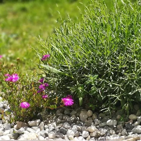 Apartment Apartmaji - Marina Style Koper