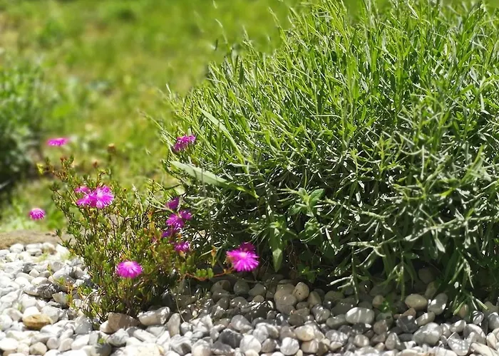 アパート Apartmaji - Marina Style コペル